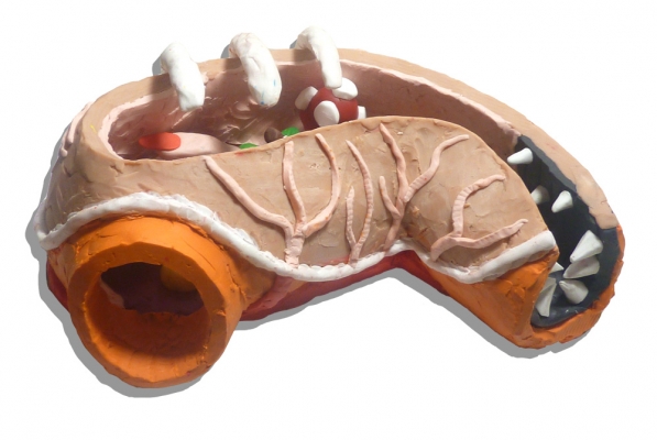stomach_model