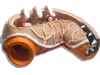 stomach_model
