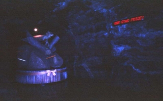 retretti_cow_1992.jpg