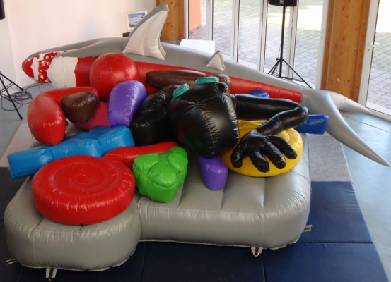tmoamf1_ppp_151108.jpg